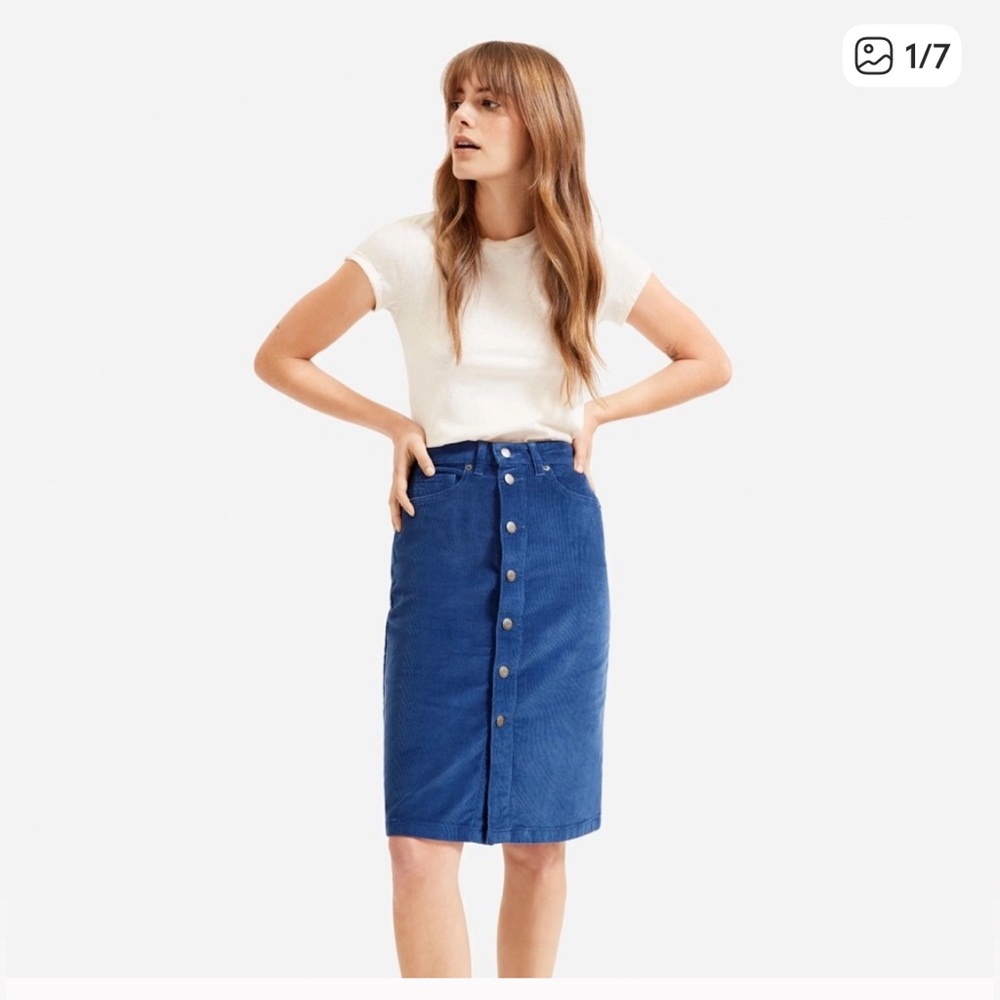 EVERLANE BUTTON FRONT COTTAGECORE CORDUROY SKIRT BLUE 27